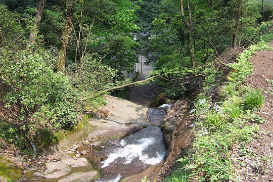 一乗滝 の写真(87) 2007年05月03日