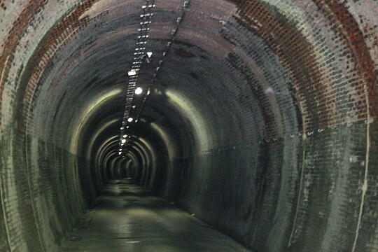 伊良谷トンネル の写真(86) 2007年05月04日