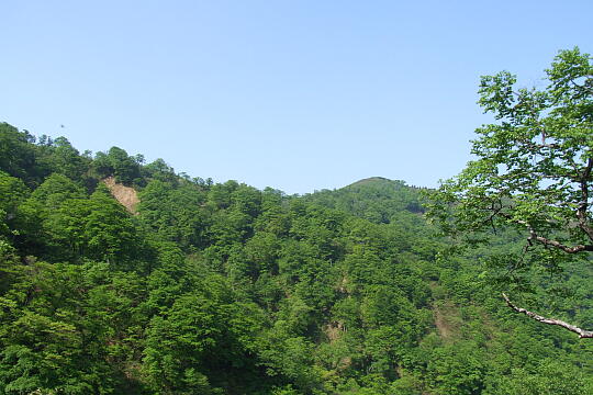 林道冠山線 Point１ の写真(83) 2008年05月18日