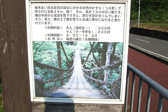 かずら橋 の写真(85) 2008年05月18日