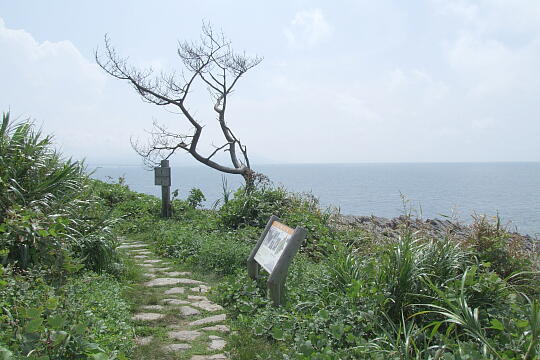 雄島（４） の写真(80) 2008年09月14日