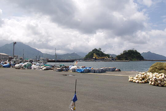 若狭高浜海釣り公園 の写真(86) 2005年06月05日