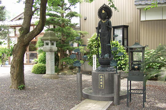 永賞寺 の写真(80) 2006年06月04日