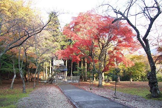 松木神社 の写真(81) 2007年11月25日