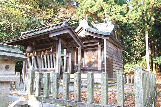 松木神社 の写真(82) 2007年11月25日