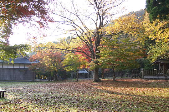 松木神社 の写真(83) 2007年11月25日