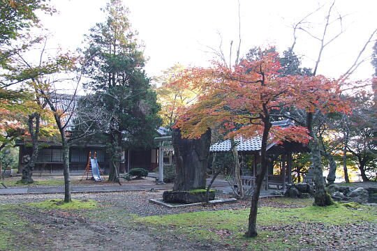 松木神社 の写真(84) 2007年11月25日