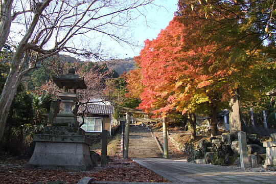 松木神社 の写真(86) 2007年11月25日