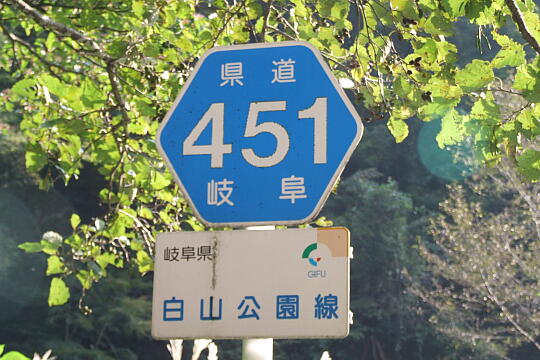 岐阜県道451号線（１） の写真(80) 2007年10月07日