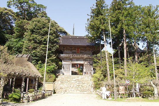 妙成寺 の写真(81) 2006年05月04日