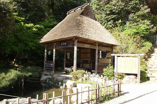 妙成寺 の写真(82) 2006年05月04日