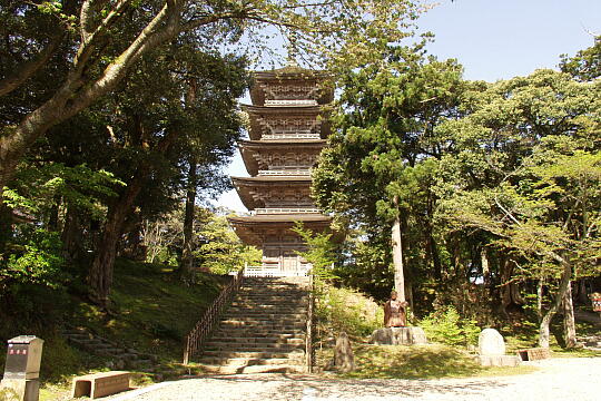 妙成寺 の写真(83) 2006年05月04日