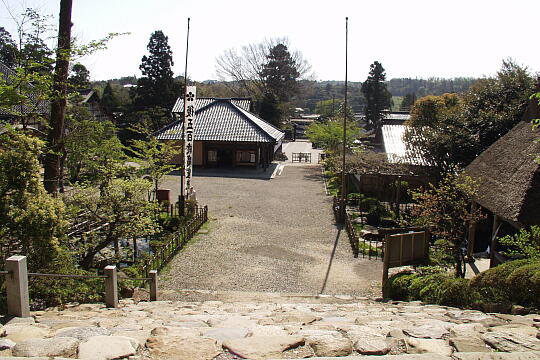 妙成寺 の写真(89) 2006年05月04日