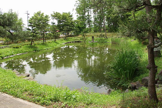 首洗い池（手塚山公園） の写真(85) 2005年06月12日