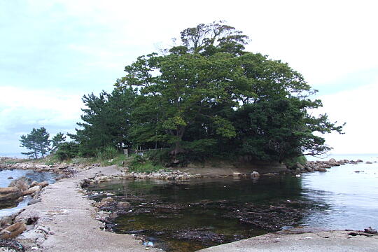 観音崎・観音島 の写真(83) 2007年09月15日