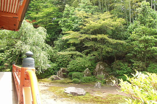 服部神社 の写真(80) 2005年05月29日