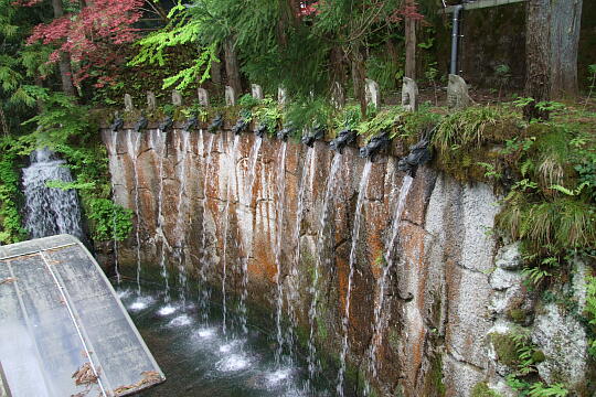 大岩山日石寺の滝 の写真(80) 2009年05月04日
