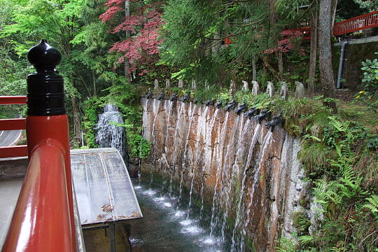 大岩山日石寺の滝 の写真(81) 2009年05月04日