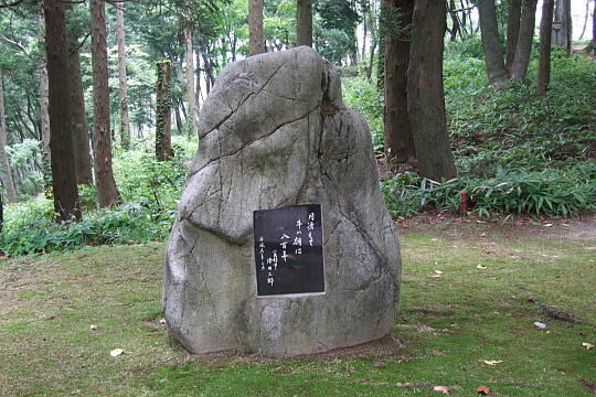 火牛の像(倶利伽羅峠) の写真(81) 2007年07月08日