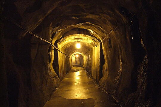 やまびこ遊歩道のトンネル の写真(82) 2009年10月12日