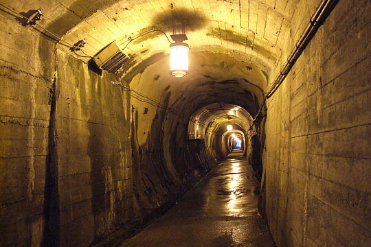 やまびこ遊歩道のトンネル の写真(84) 2009年10月12日