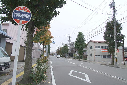 写真(80) /busstop/gazo540/gazo20081108/heiwamachi-6aDSCF4342.JPG