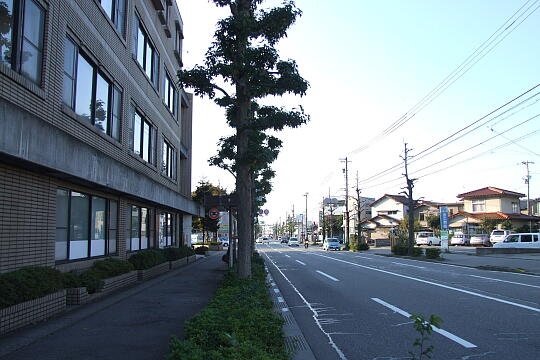 写真(80) /busstop/gazo540/gazo20091107/sakuramachi-1aDSCF2048.JPG