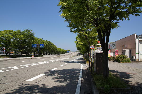 写真(12) /busstop/gazo600/gazo20130512/suzumidai1chome-cDSC05171.JPG