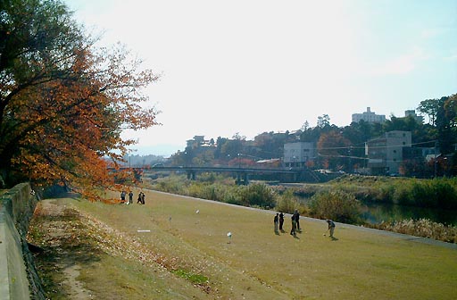 犀川 の写真(81) 2001年11月23日
