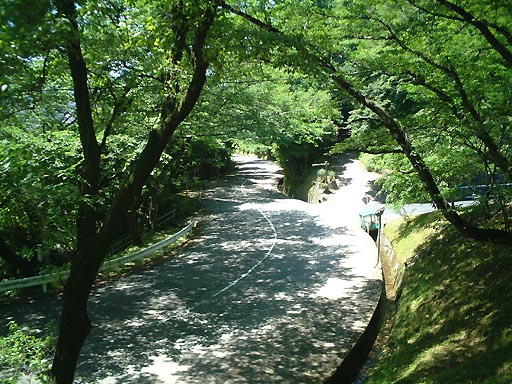 卯辰山公園線 の写真(85) 2002年06月01日