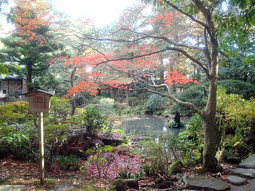西田家庭園 の写真(84) 2003年11月23日