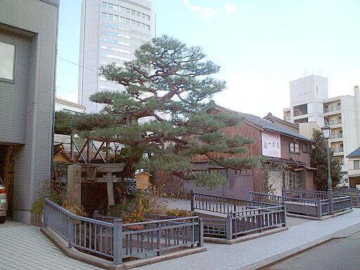 貴船神社 の写真(83) 2003年11月23日
