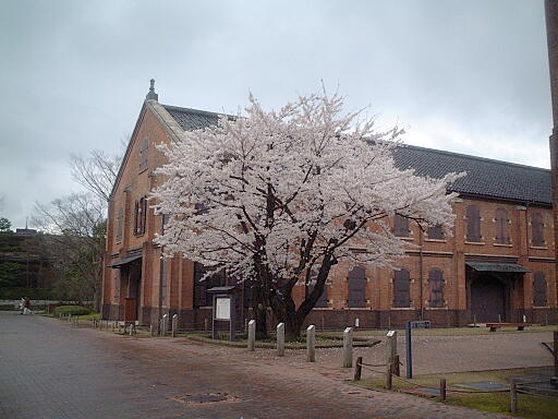 県立歴史博物館 の写真(81) 2004年04月03日
