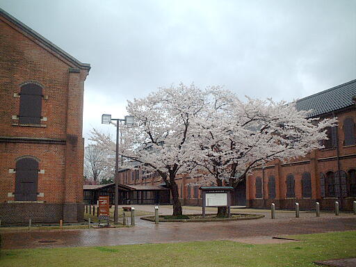 県立歴史博物館 の写真(82) 2004年04月03日