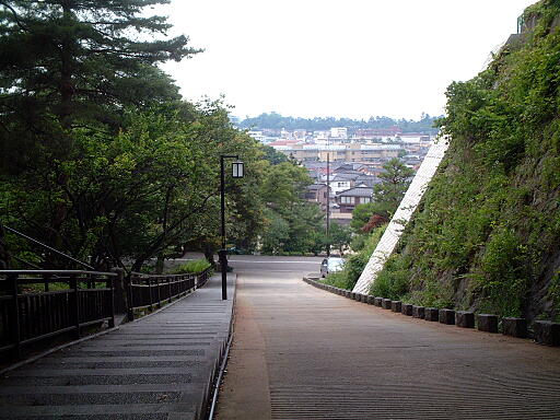 帰厚坂遊歩道 の写真(80) 2004年06月06日