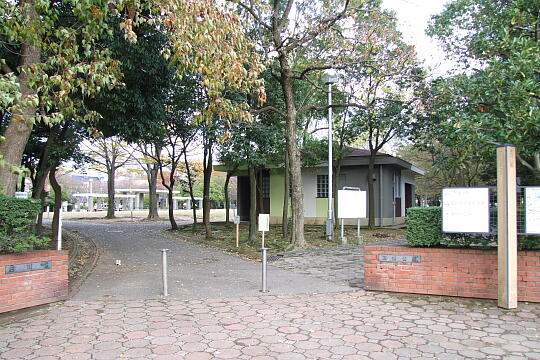 写真(83) /loopbus/gazo540/gazo20081122/fnaga-tamagawakoen-oDSCF4798.JPG