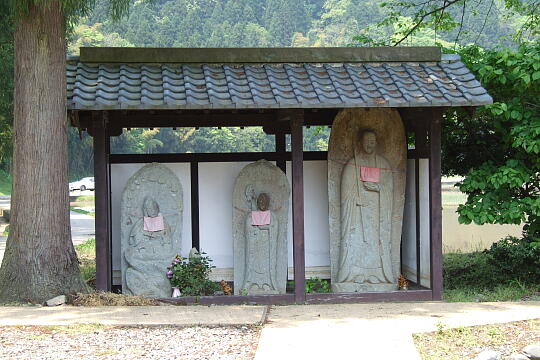 一乗谷 西山光照寺跡 の写真(84) 2007年05月03日
