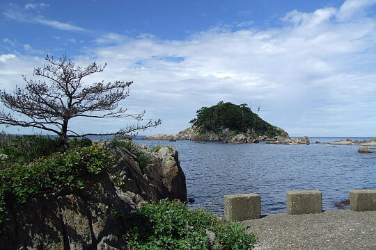 亀島（１） の写真(83) 2007年09月16日