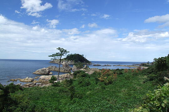 亀島（２） の写真(84) 2007年09月16日