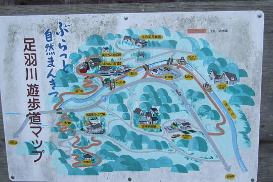 足羽川遊歩道 の写真(81) 2008年05月18日