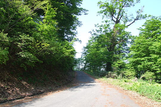 林道冠山線 Point２ の写真(82) 2008年05月18日