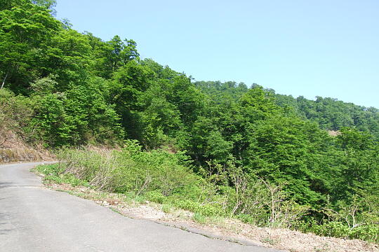 林道冠山線 Point３ の写真(82) 2008年05月18日