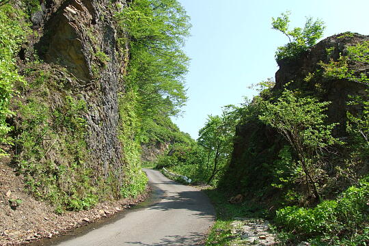 林道冠山線 Point４ の写真(83) 2008年05月18日