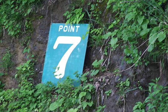 林道冠山線 Point７ の写真(81) 2008年05月18日