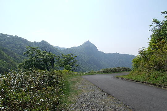 林道冠山線 岐阜県側 の写真(80) 2008年05月18日