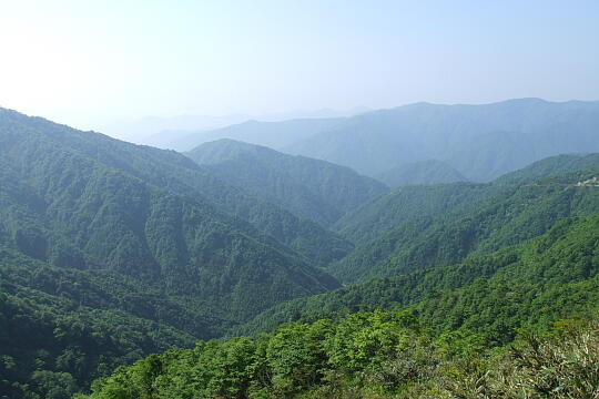 林道冠山線 岐阜県側 の写真(83) 2008年05月18日