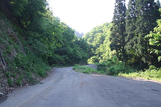 林道冠山線 起点 の写真(86) 2008年05月18日