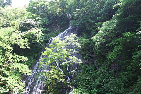 龍双ヶ滝 の写真(80) 2008年05月18日