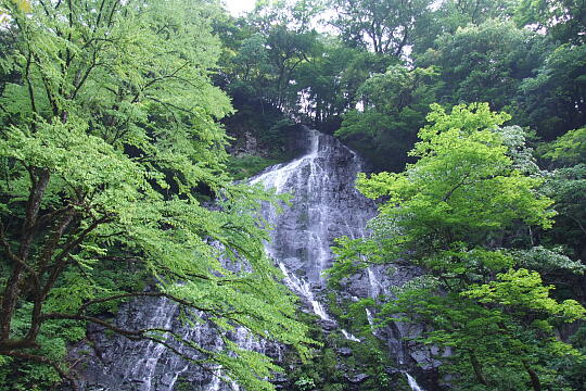 龍双ヶ滝 の写真(83) 2008年05月18日