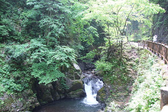 龍双ヶ滝 の写真(84) 2008年05月18日